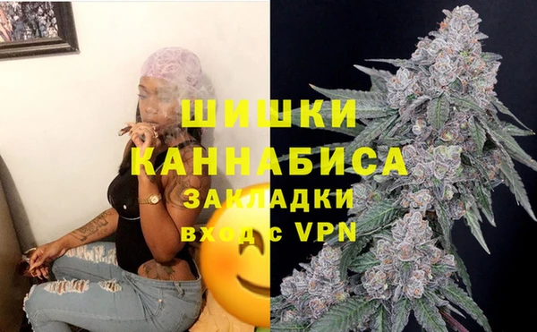 ешки Лагань