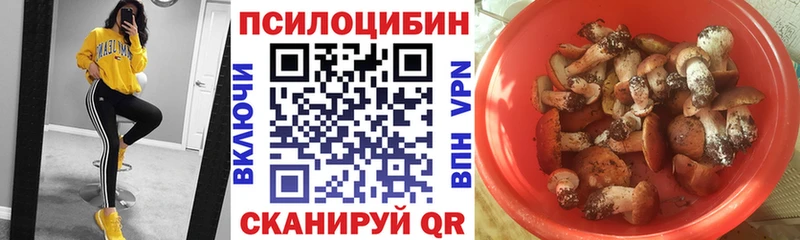 Галлюциногенные грибы GOLDEN TEACHER  Купить закладки  Людиново 